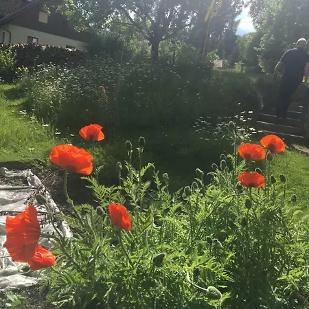 아파트 Beate Hassler *